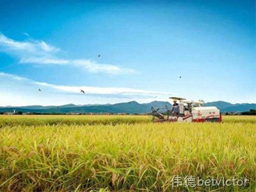 2021.1      虾稻香米荣登2020年度“中国好粮油”