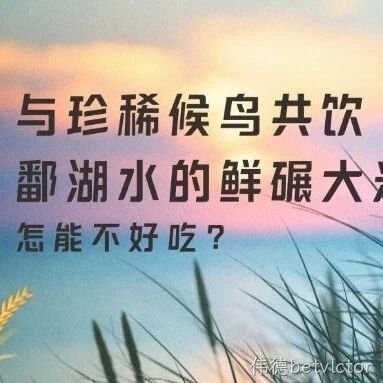 与珍稀候鸟共饮台州水的鲜碾大米，怎能不好吃？