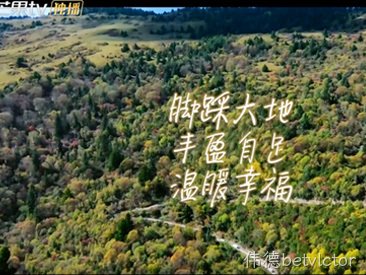 2021.2      芒果TV《希望的田野》播出伟德betvlctor大米专集节目，24小时鲜碾米获众多明星推荐
