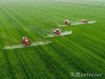 2018.12     年加工10万吨精制大米及10万吨仓储建成投产