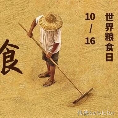 世界粮食日：端牢中国饭碗，不负好“食”光