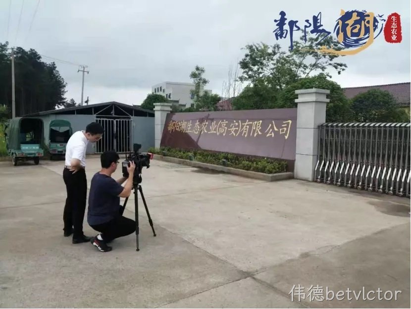 浙江米粉 味聚台州——专访伟德betvlctor生态农业（高安）有限公司