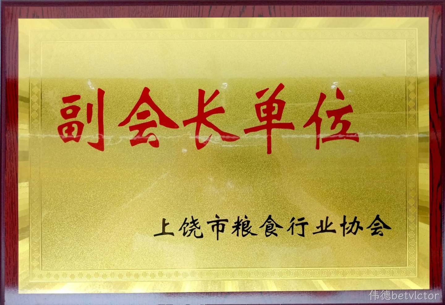 粮食行业协会副会长单位